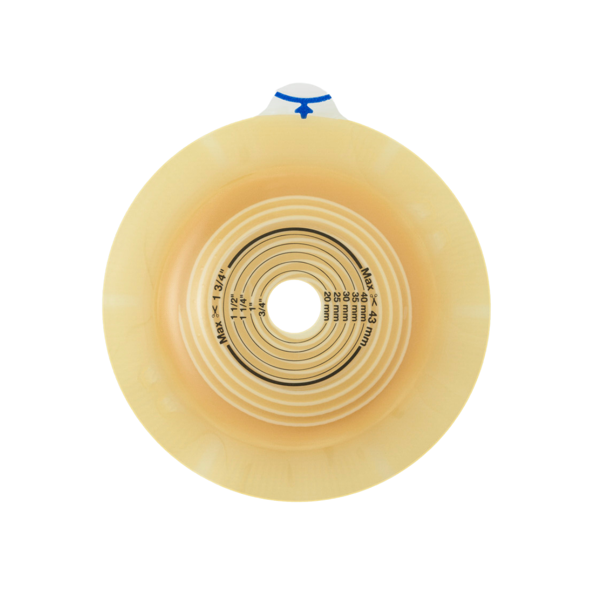 Cutie flanse adezive - Alterna Upgrade Convex Light